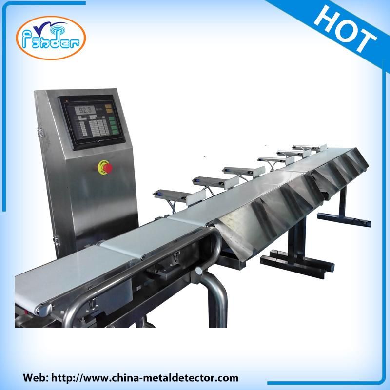 Conveyor Check Weigher Converyor Weigher for Checking