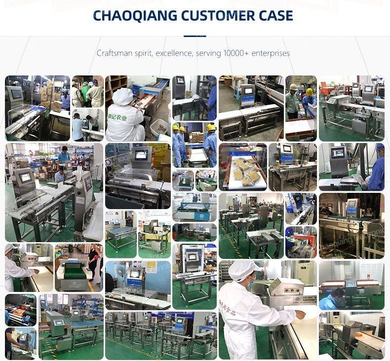 Automatic Weight Sorting Machine Waterproof Online Weigher for Oysters Processing