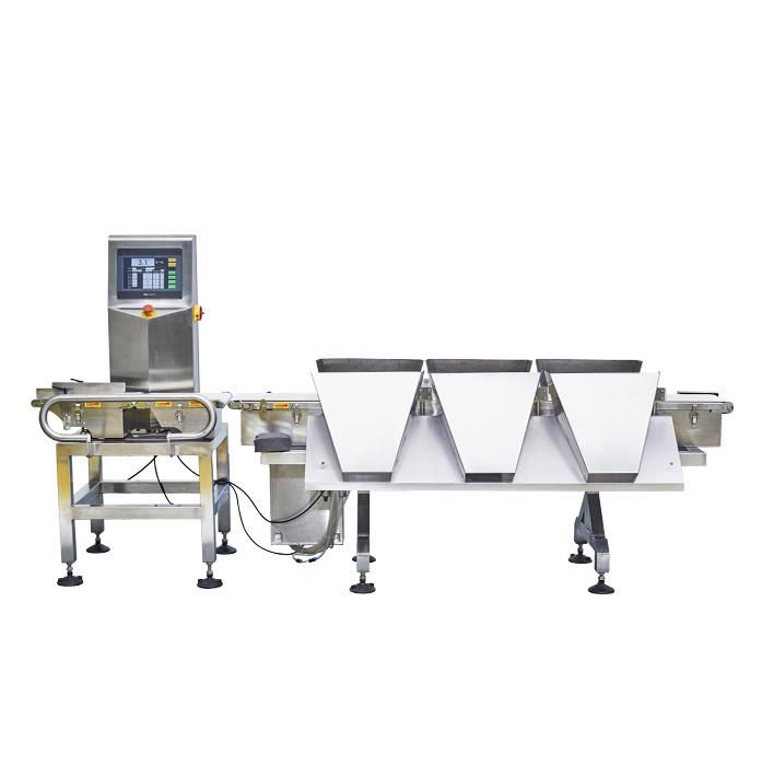 Touch Screen Check Weight Machine for Producing Line