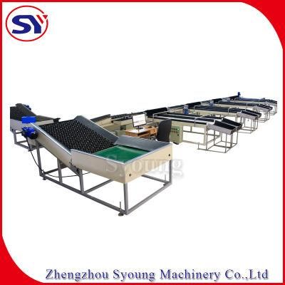 Factory Supply Multi Tray Mango Weight Sorting Grading Machine
