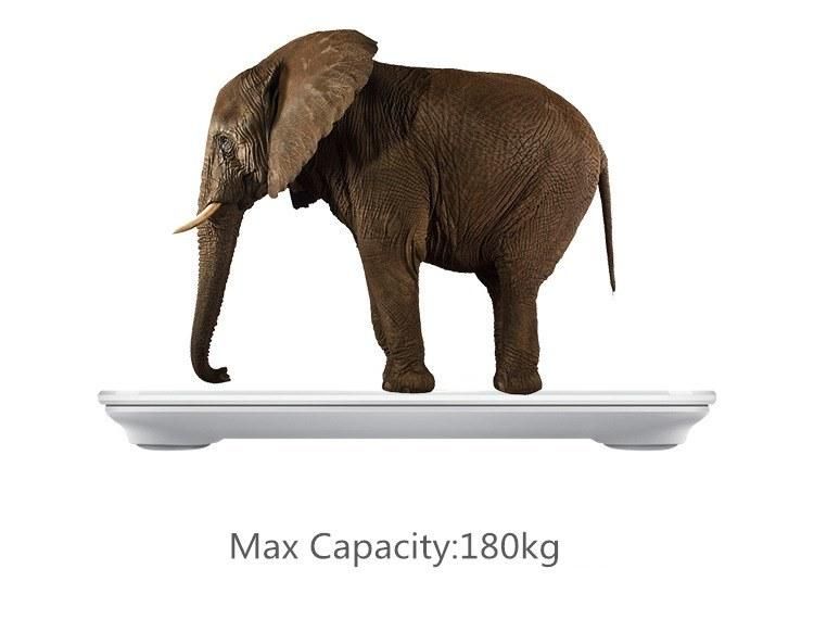 The Best Price Tempered Glass Insulated Electronic Body Weighing Scale