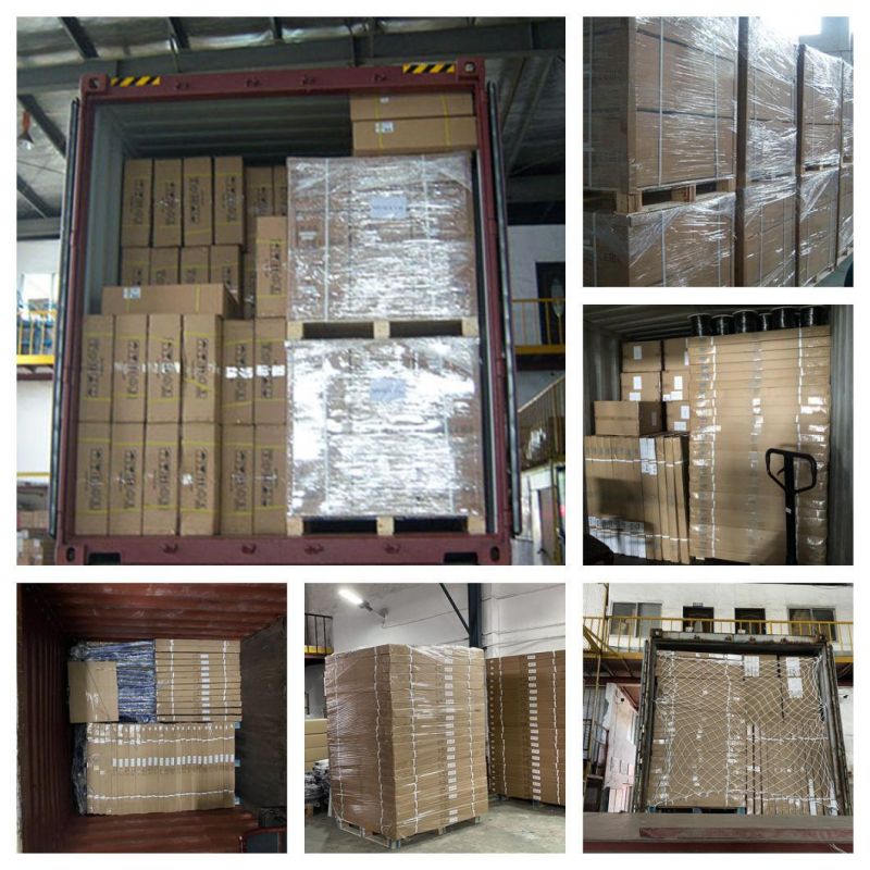 Economic Bench Scale Parcel Scale Logistic Scale (ALS-1)