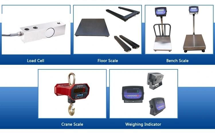 China Electronic Digital Explosionproof Weight Indicator for Bench Scale