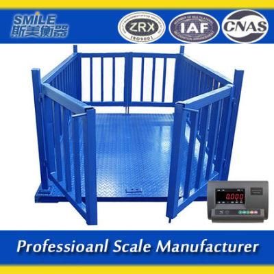 2*3m Scale for Pig Livestock Scale for Cattle Cow Weight Scale