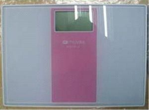 Two Color Printing Electronic Weighing Scale