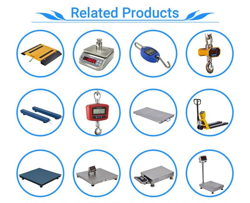 Digital Weighing Scale 300kg Platform Bench