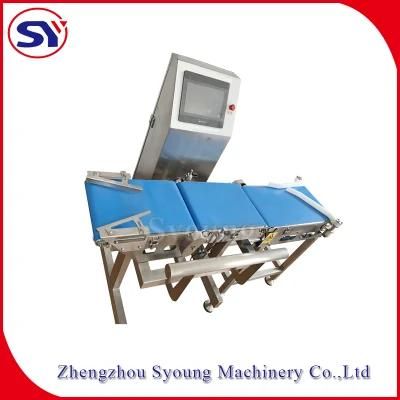 Food Packing Conveyor Weight Checker