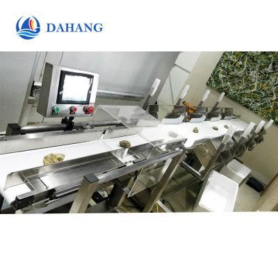 Seafood Weight Sorting Machine with Best Quality