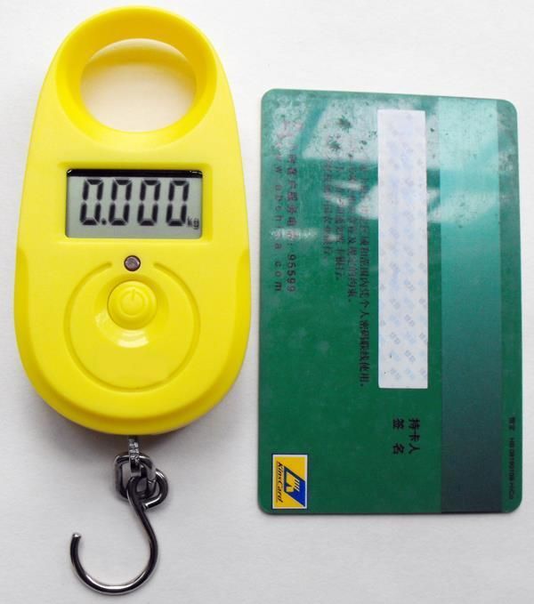 25kg 5g Mini Accurate Portable LCD Display Hanging Luggage Pocket Fishing Weighing Scale