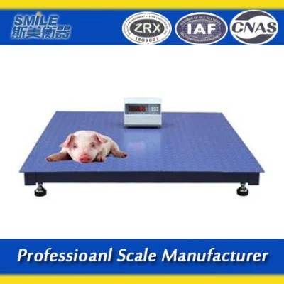 Platform Floor Scale 1ton Floor Scale Digital Scale