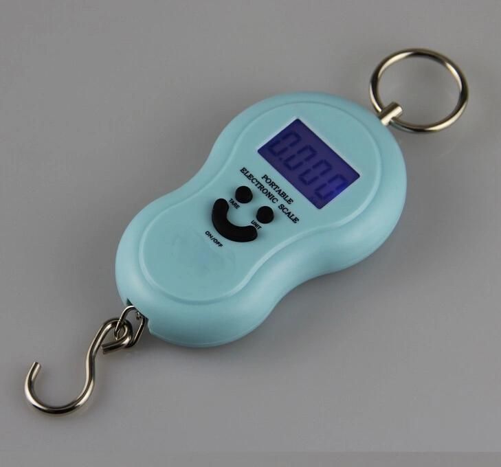 50kg Electronic Weight Hanging Scale, Portable Scale