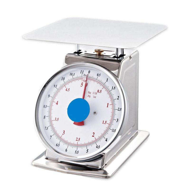 Stainless Steel 10kg High Quality Spring Weighing Plate Platform Scale