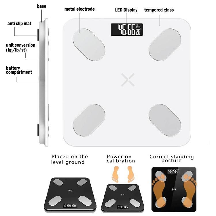 Bl-2601 Body Fat Scale with Fat Muscle Stone Measure Household