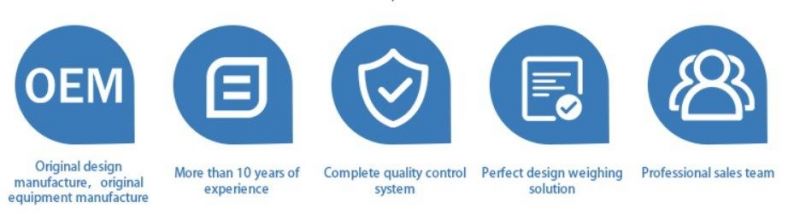 5g-10g Accuracy and 30kg-40kg Rated Load China Electronic Price Computing Scales