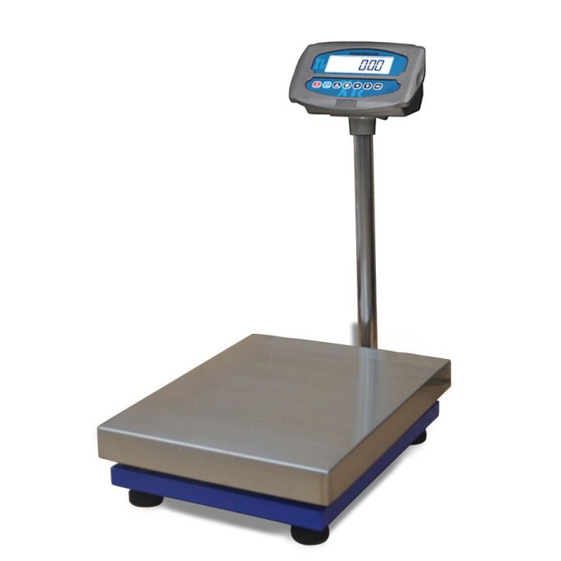 OIML Large Folding Platform Digital Bench Weight Scales 500kg 600kg