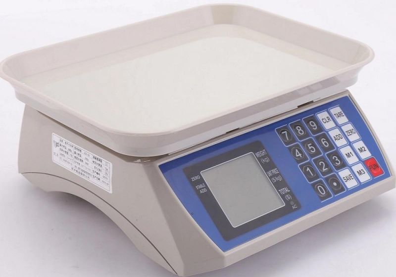 Electronic Pricecomputing Scale 40kg Weighing Scales Price Philippines