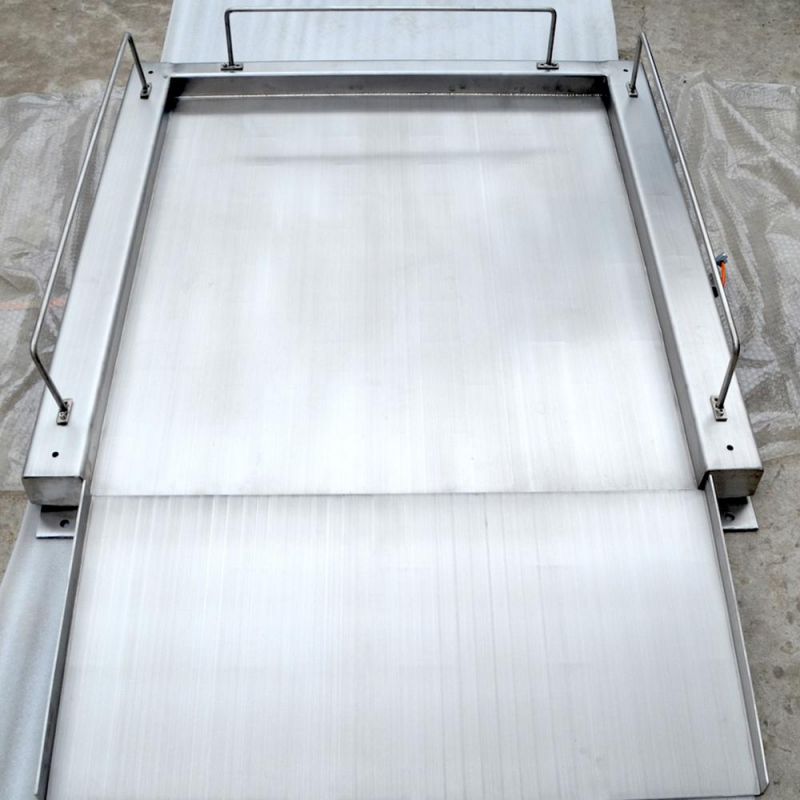 1500kg 3000kg 5000lb 1ton 5ton Electronic Industrial Platform Floor Scale
