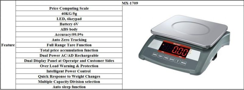 Classic Model Digital Weighing Scale