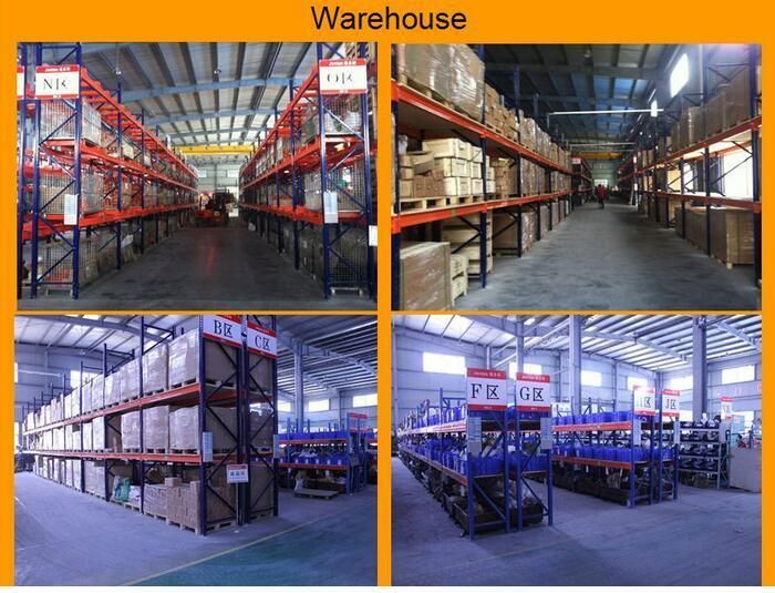 Digital Hanging Crane Scale with 100kg 150kg 200kg