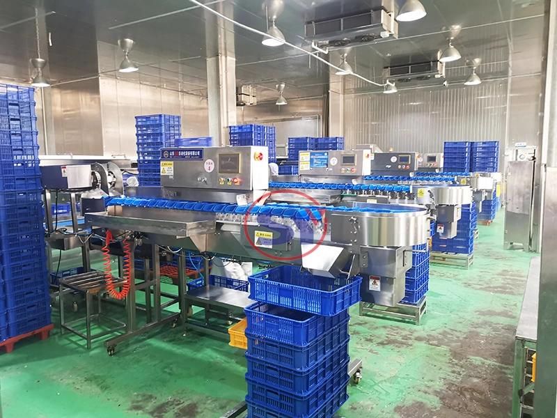 Multi-Tray 5-10 Grades Fruit&Nut Grader Classifier Weight Sorter