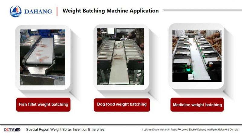 Belt Type Combination Weigher for Food / Fish Fillets/ Vegetable